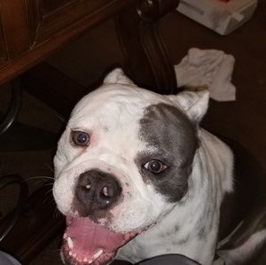 Meet your Posher, Keek